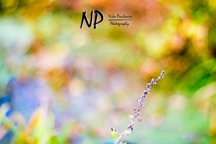 Photowalking - Valokuvauskävely Tampere 2012-10-11 (c) Niko Paulanne Photography - nikopaulanne.fi (12)