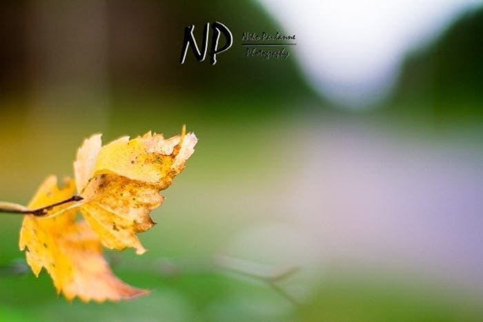 Photowalking - Valokuvauskävely Tampere 2012-10-11 (c) Niko Paulanne Photography - nikopaulanne.fi (8)