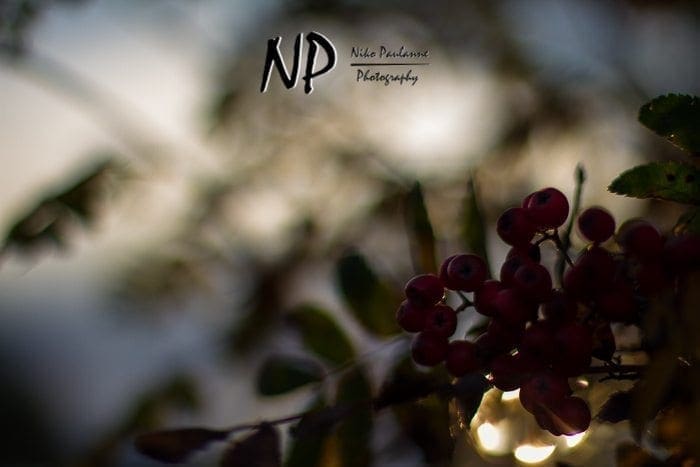 Photowalking - Valokuvauskävely Tampere 2012-10-11 (c) Niko Paulanne Photography - nikopaulanne.fi (14)