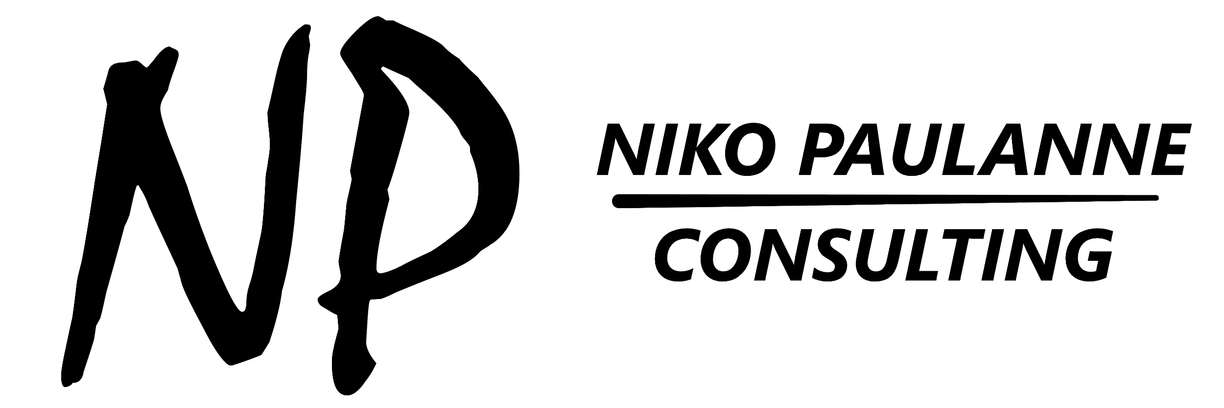 Niko Paulanne Consulting